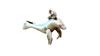 Layla Animal Charms